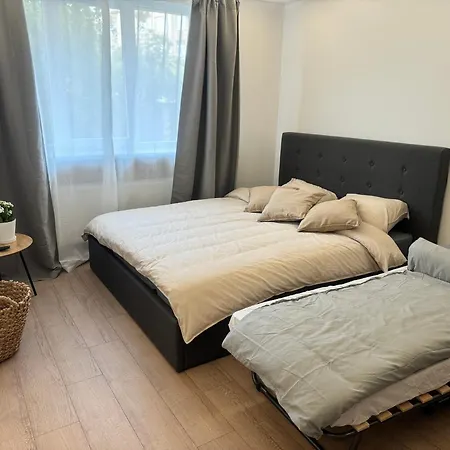 Apartment Comfy In *